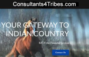 Tribe Lending Consultant